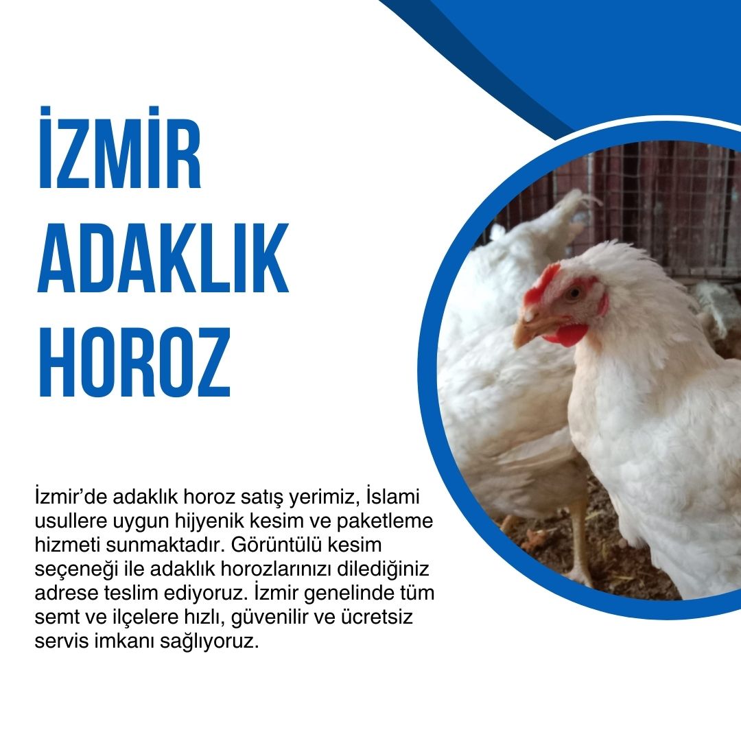 İzmir Adaklık Horoz  - Hakkımızda